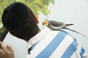Orphan during an animal therapy session with a cockatoo bird on his shoulder