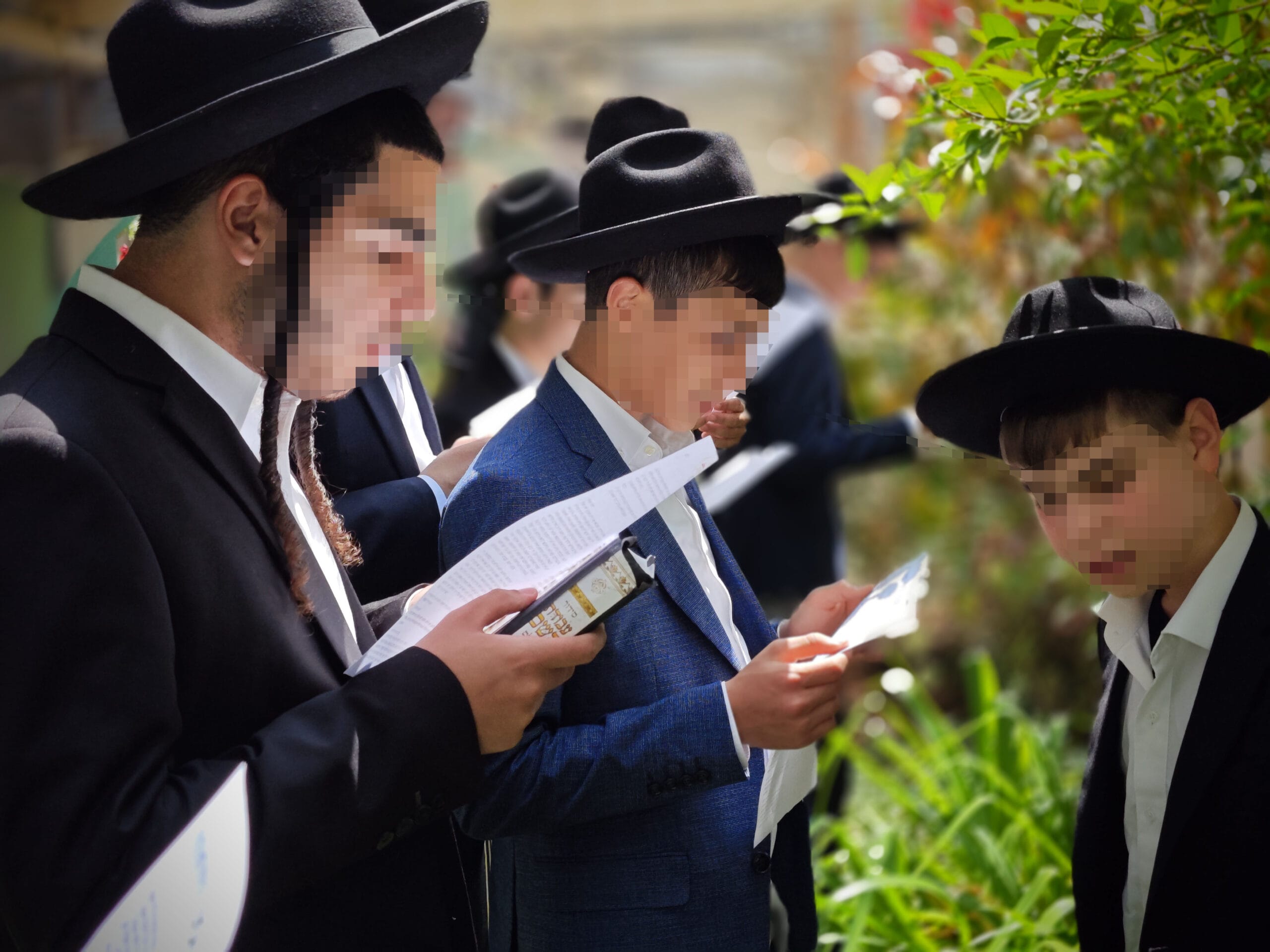 Click to view Birkas Ilanos gallery